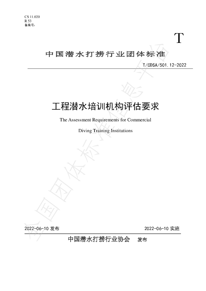 T/CDSA 501.12-2022 标准预览