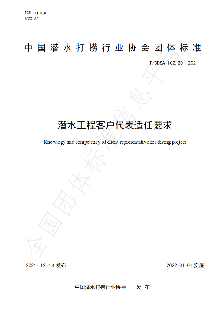 T/CDSA 102.20-2021 标准预览