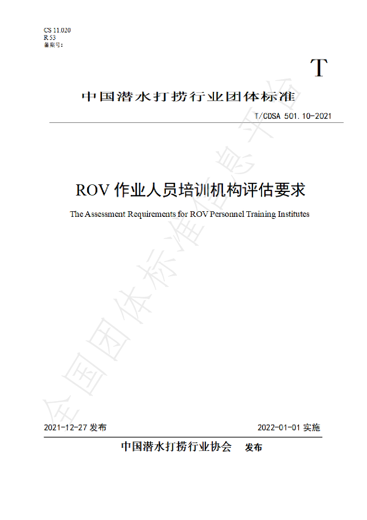 T/CDSA 501.10-2021 标准预览