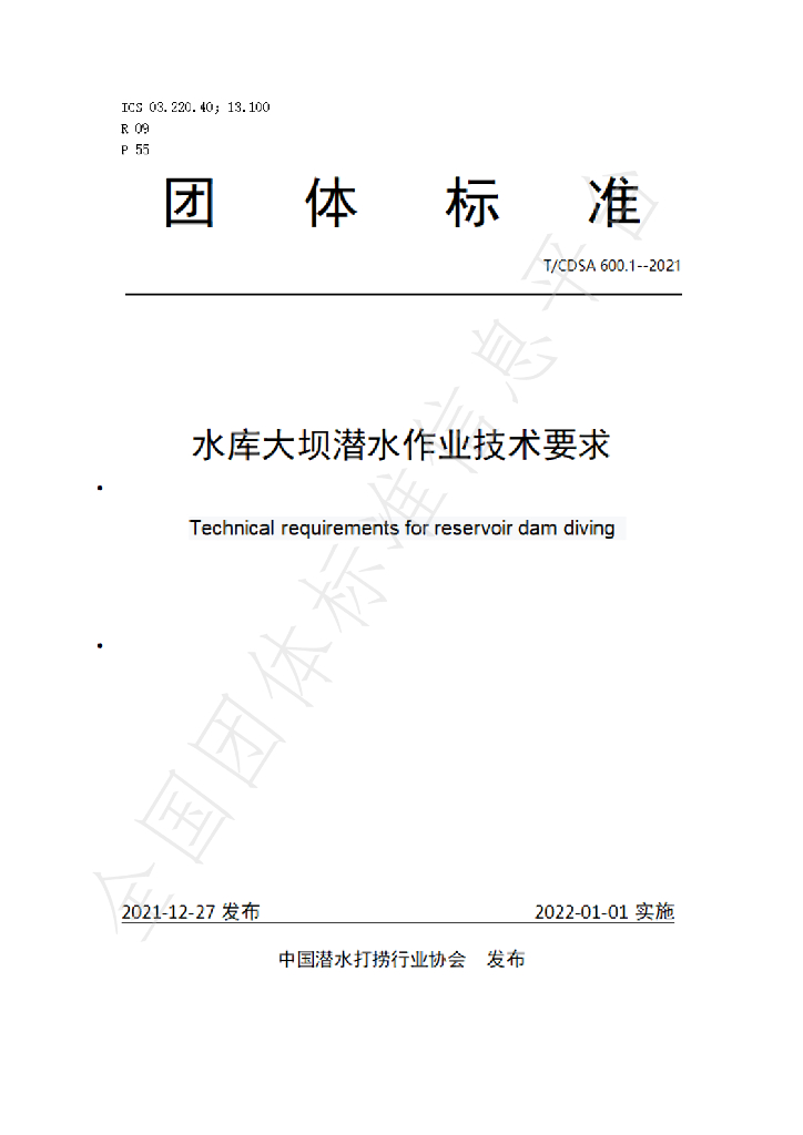 T/CDSA 600.1-2021 标准预览