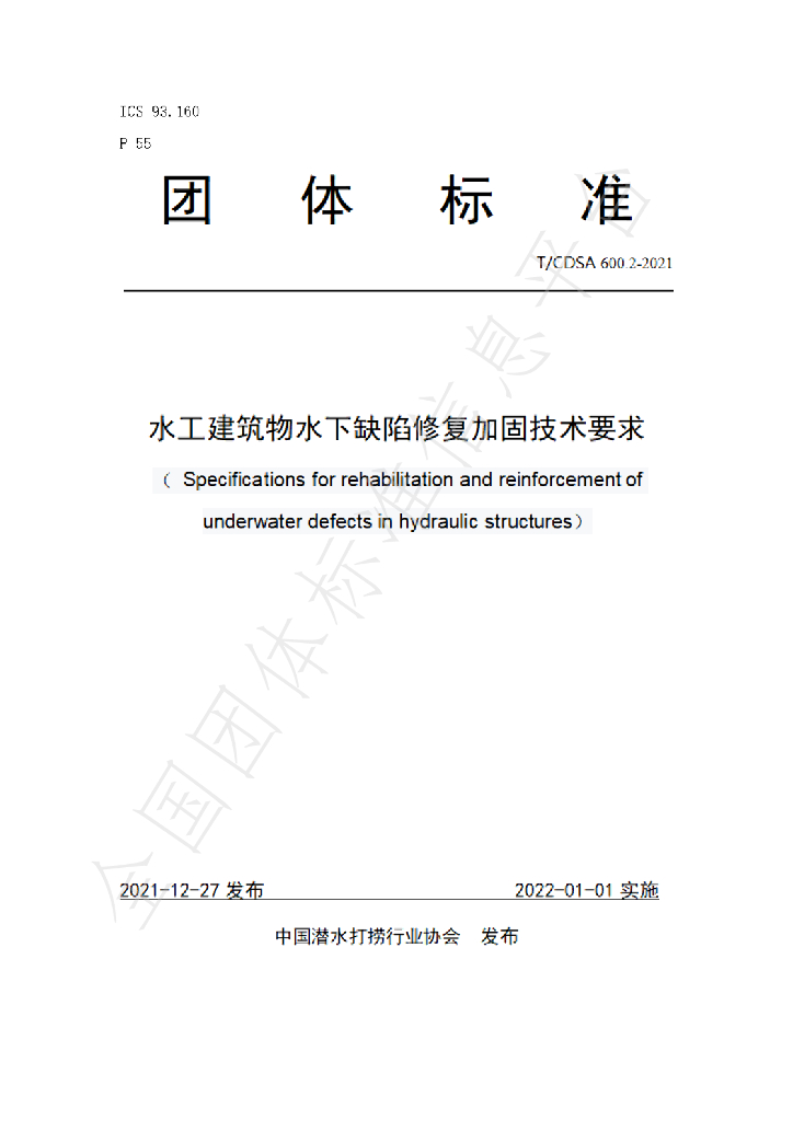 T/CDSA 600.2-2021 标准预览