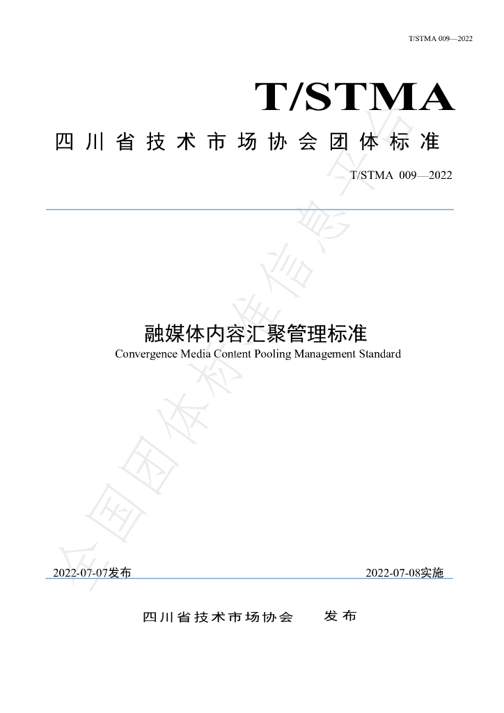 T/STMA 009-2022 标准预览