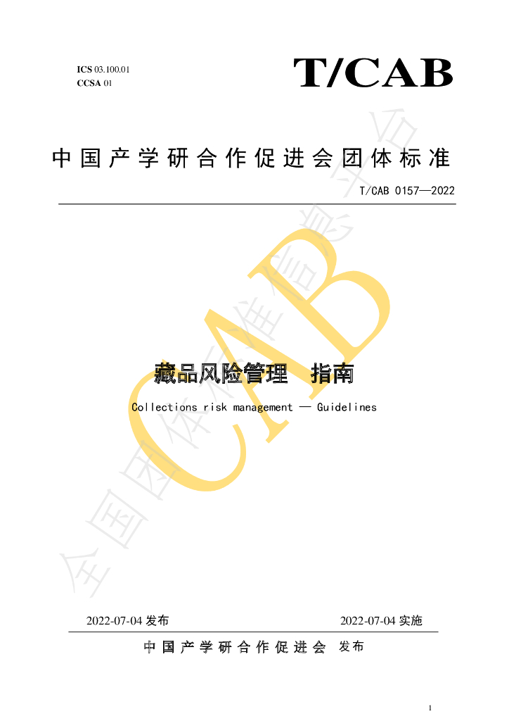 T/CAB 0157-2022 标准预览