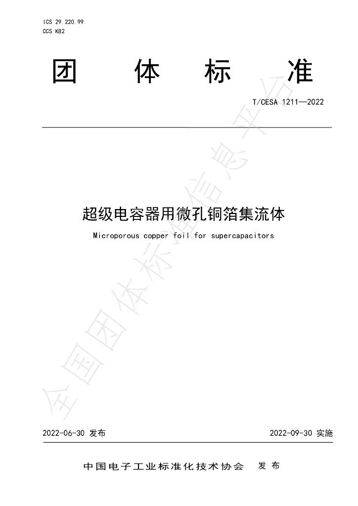 T/CESA 1211-2022 标准预览