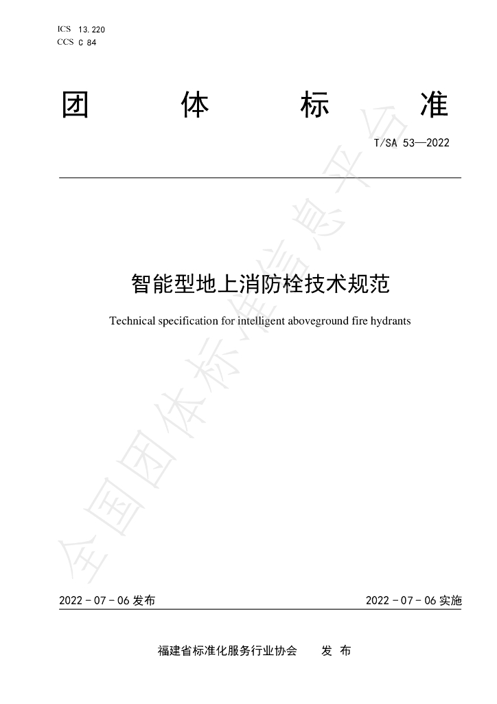 T/SA 53-2022 标准预览