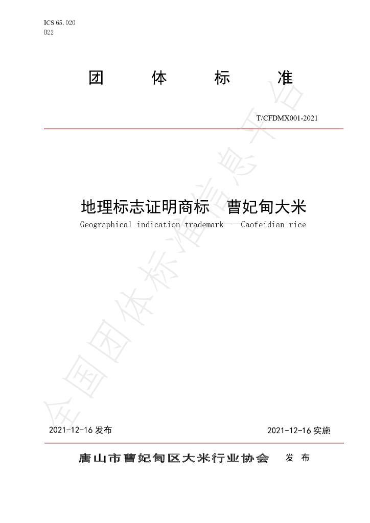 T/CFDMX 001-2021 标准预览