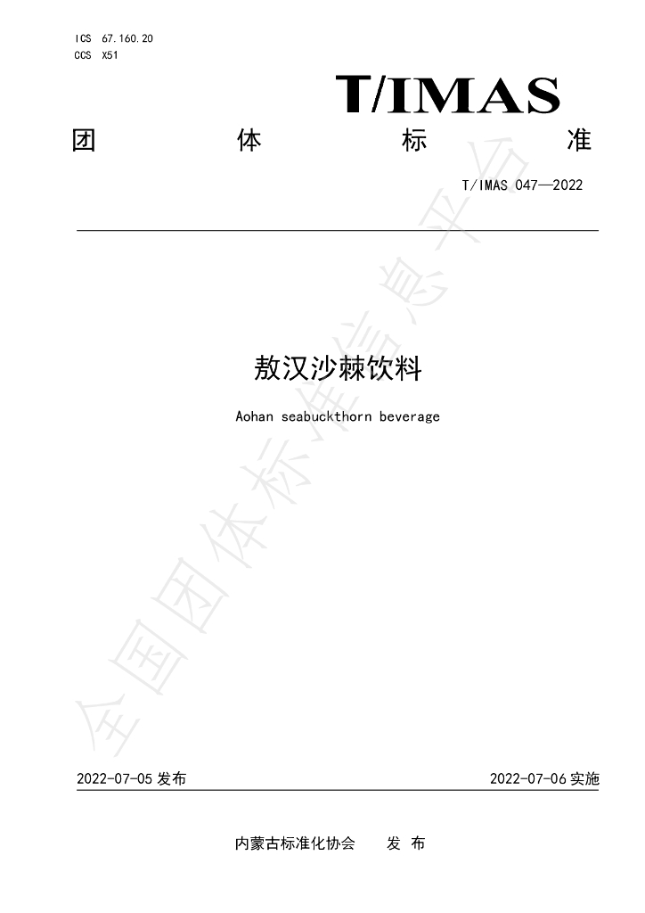 T/IMAS 047-2022 标准预览