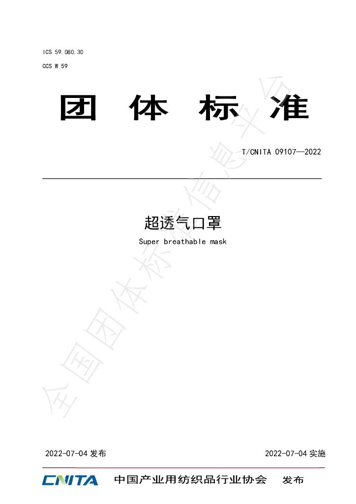 T/CNITA 09107-2022 标准预览