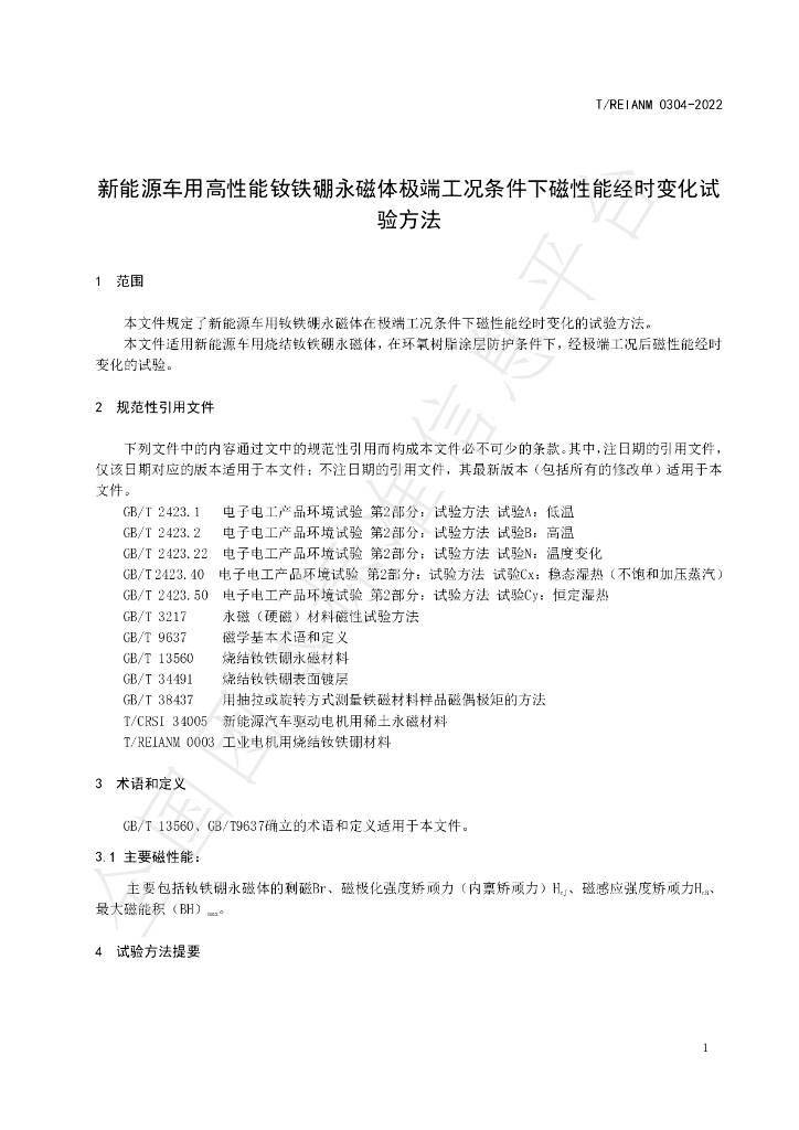 T/REIANM 0304-2022 标准预览