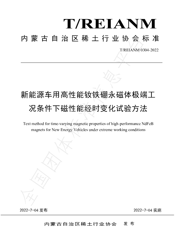 T/REIANM 0304-2022 标准预览