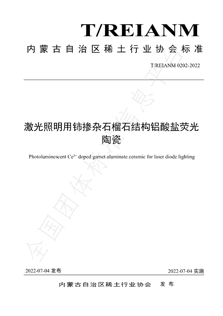 T/REIANM 0202-2022 标准预览