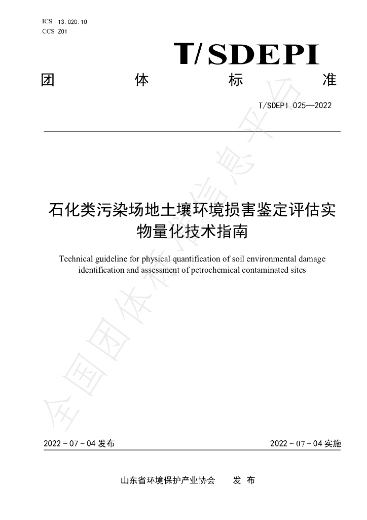 T/SDEPI 025-2022 标准预览