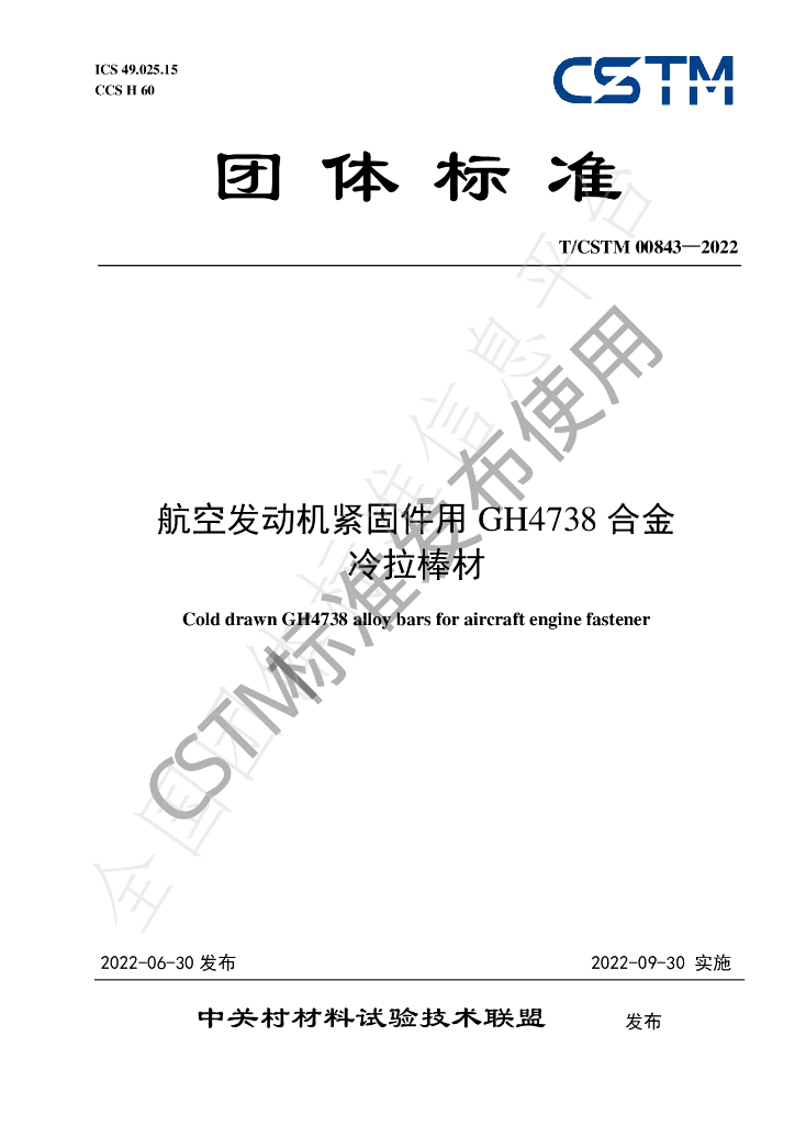T/CSTM 00843-2022 标准预览