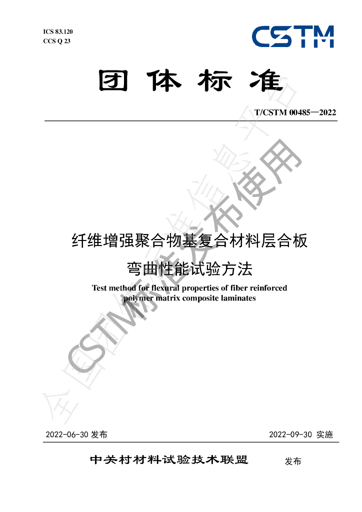T/CSTM 00485-2022 标准预览