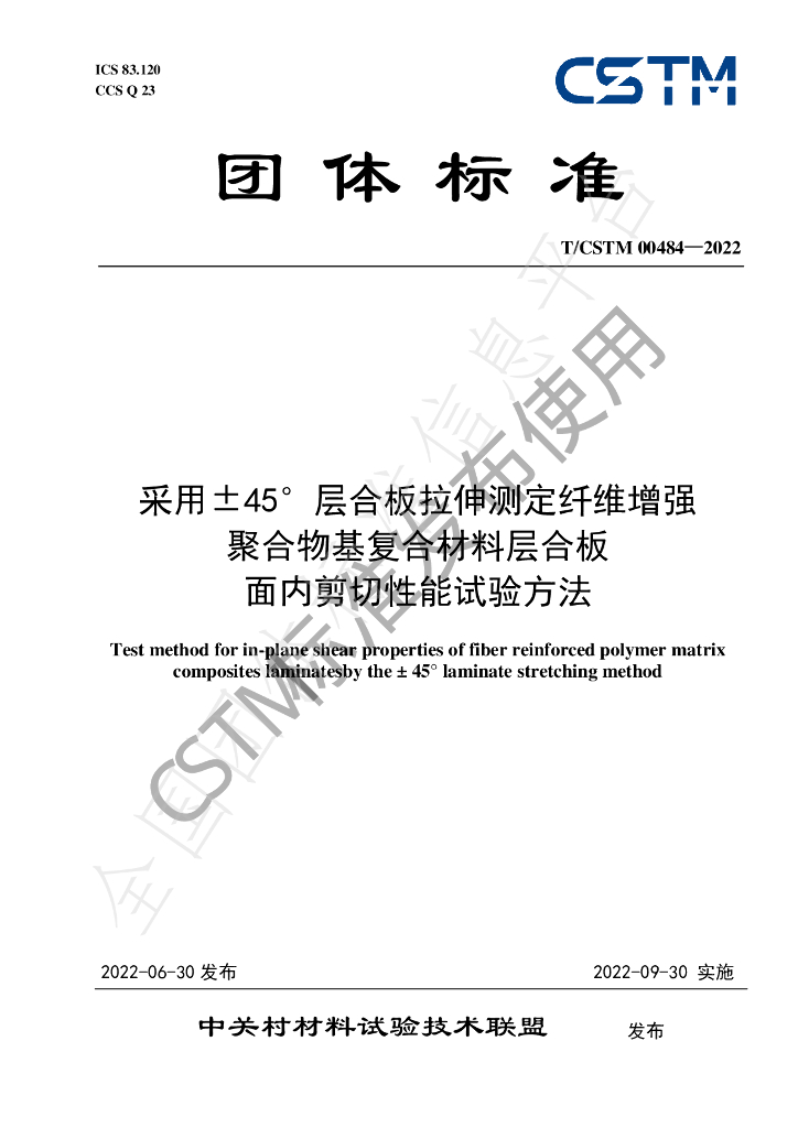 T/CSTM 00484-2022 标准预览