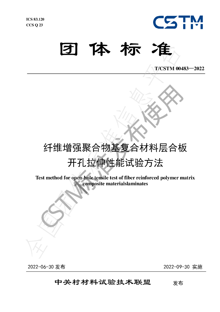 T/CSTM 00483-2022 标准预览
