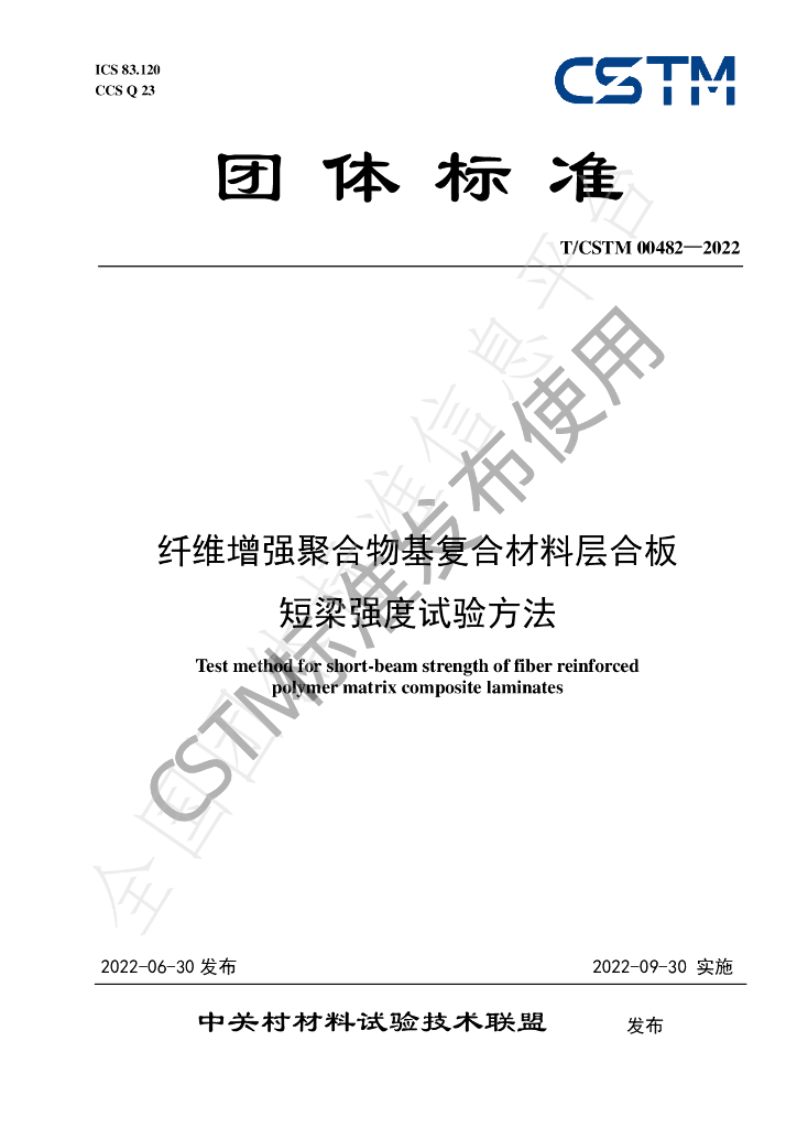 T/CSTM 00482-2022 标准预览