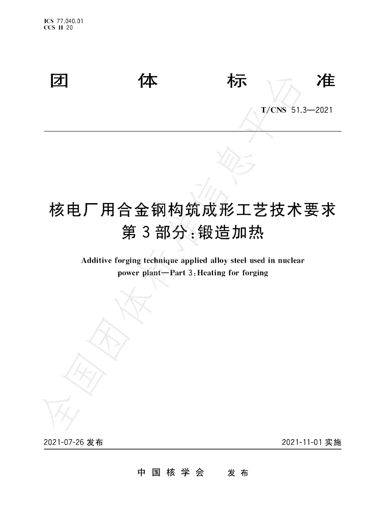 T/CNS 51.3-2021 标准预览