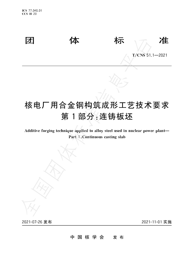 T/CNS 51.1-2021 标准预览