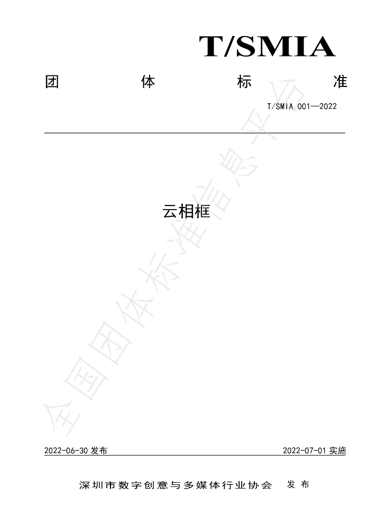 T/SMIA 001-2022 标准预览