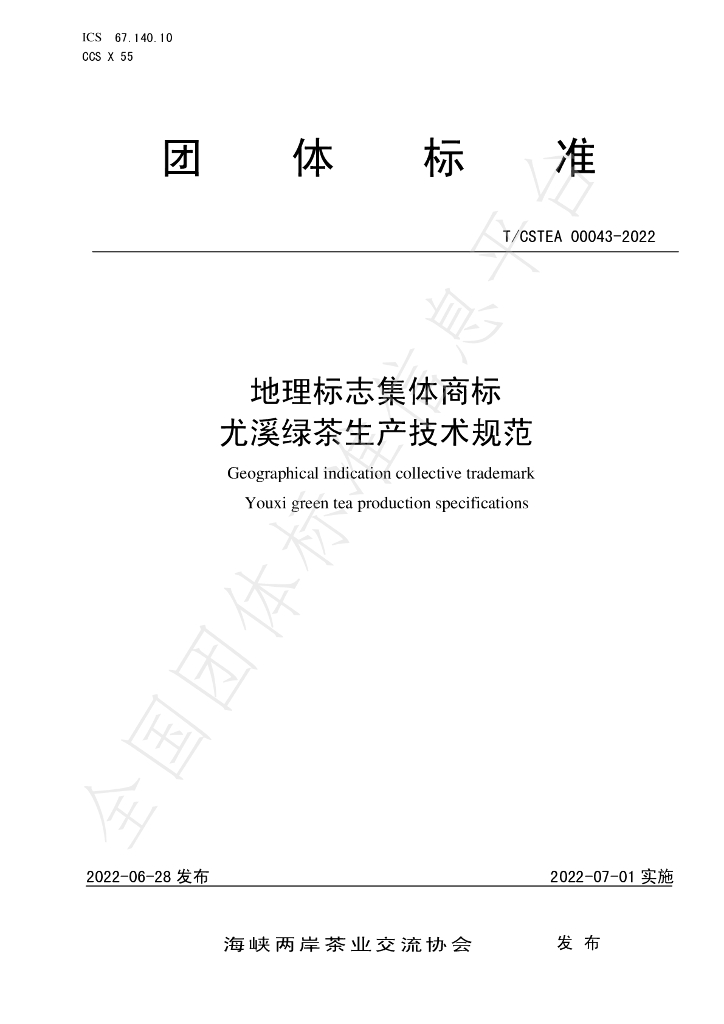 T/CSTEA 00043-2022 标准预览