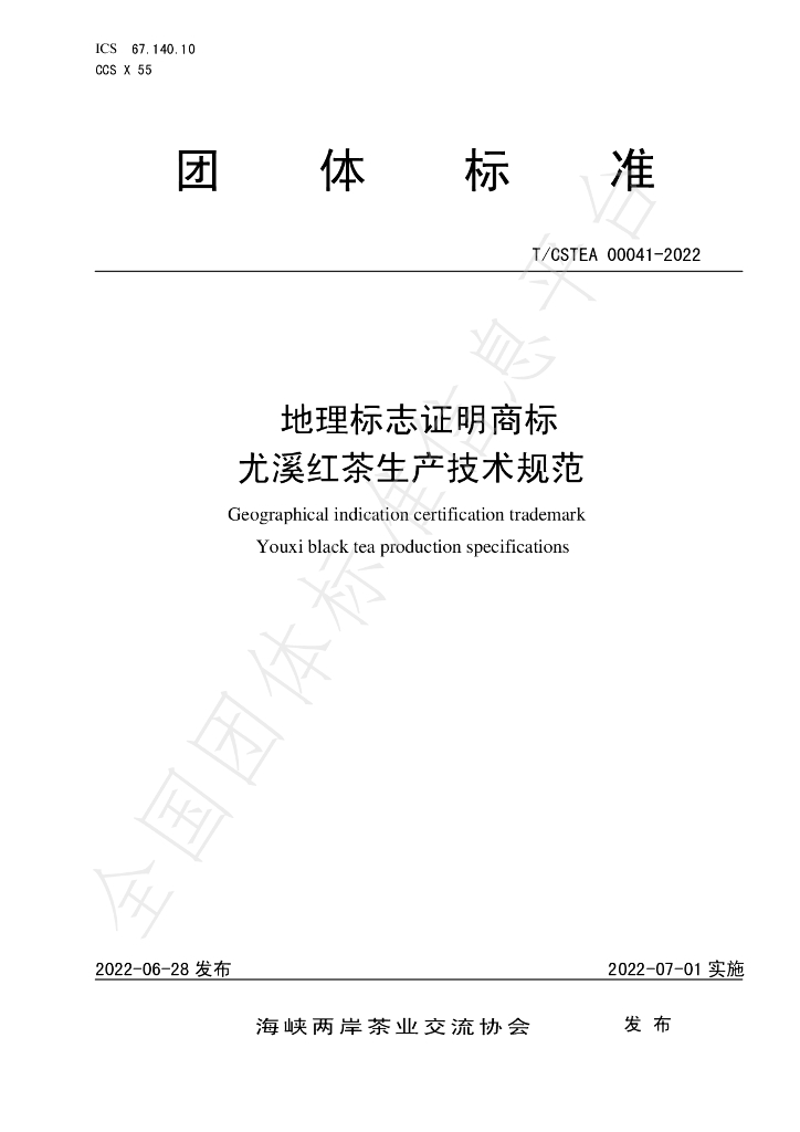 T/CSTEA 00041-2022 标准预览