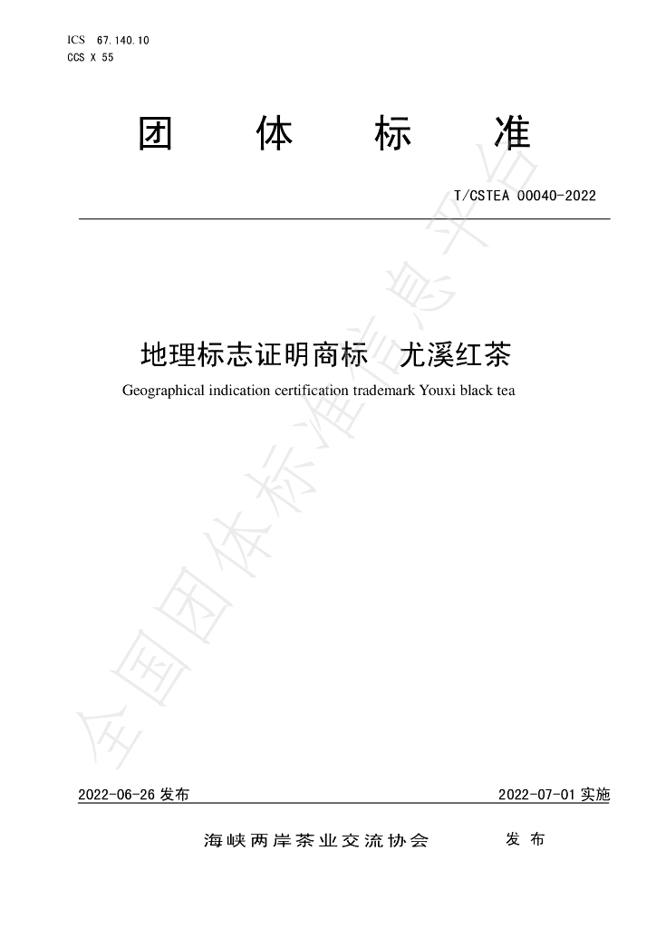 T/CSTEA 00040-2022 标准预览