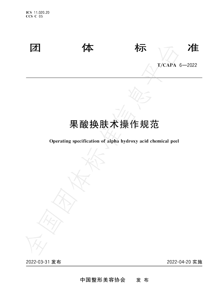 T/CAPA 6-2022 标准预览