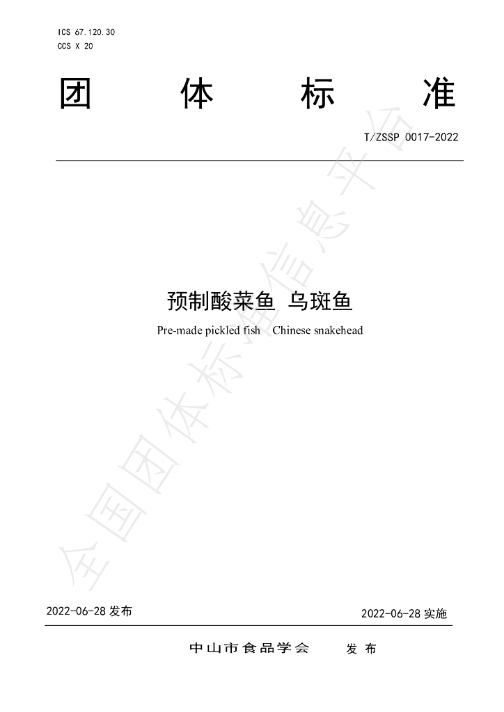 T/ZSSP 0017-2022 标准预览