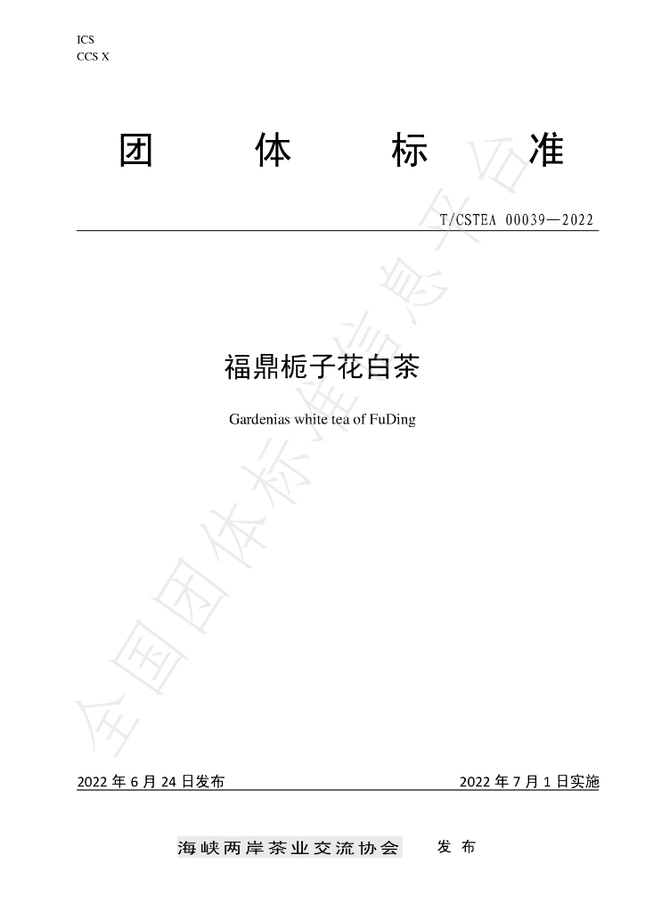 T/CSTEA 00039-2022 标准预览