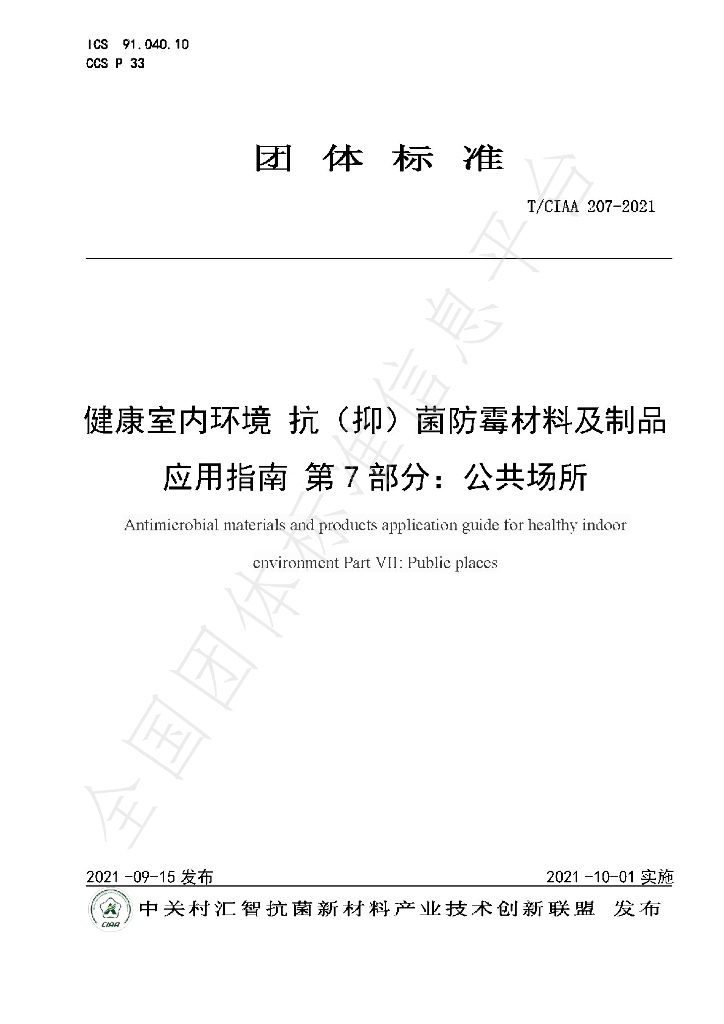 T/CIAA 207-2021 标准预览