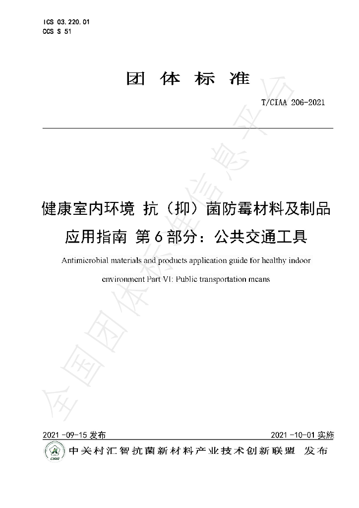 T/CIAA 206-2021 标准预览