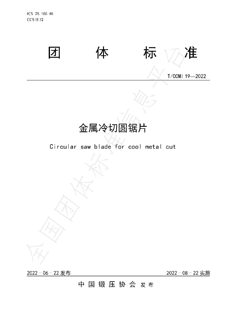 T/CCMI 19-2022 标准预览