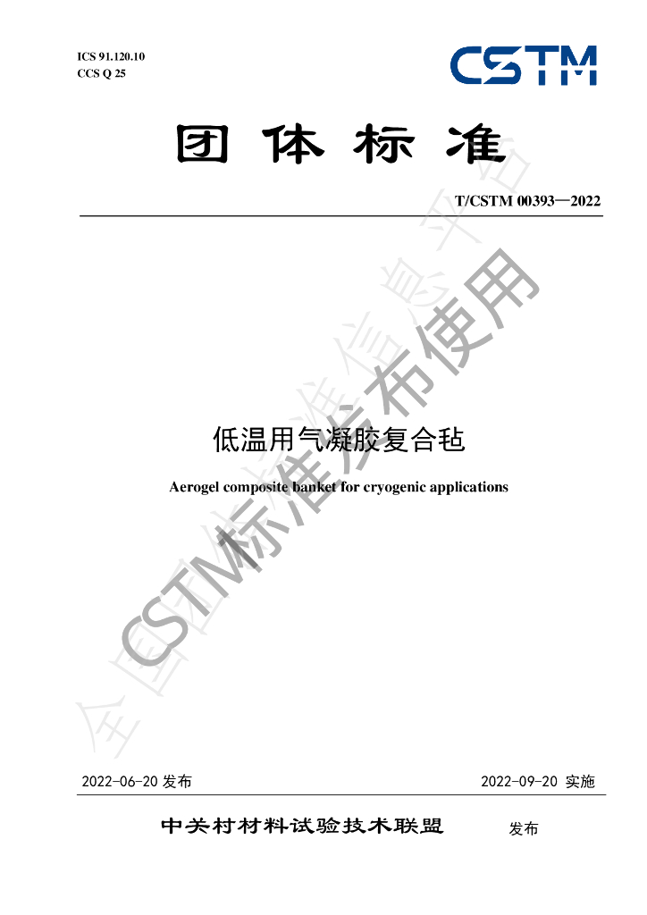 T/CSTM 00393-2022 标准预览