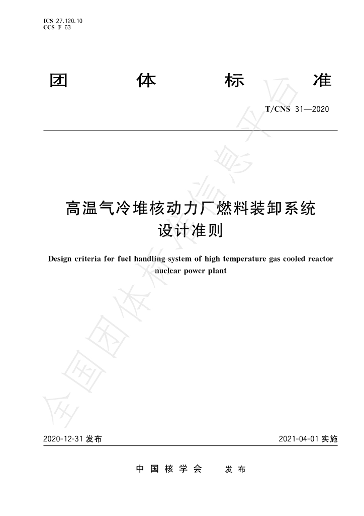 T/CNS 31-2020 标准预览