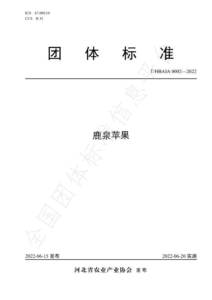 T/HBAIA 0002-2022 标准预览