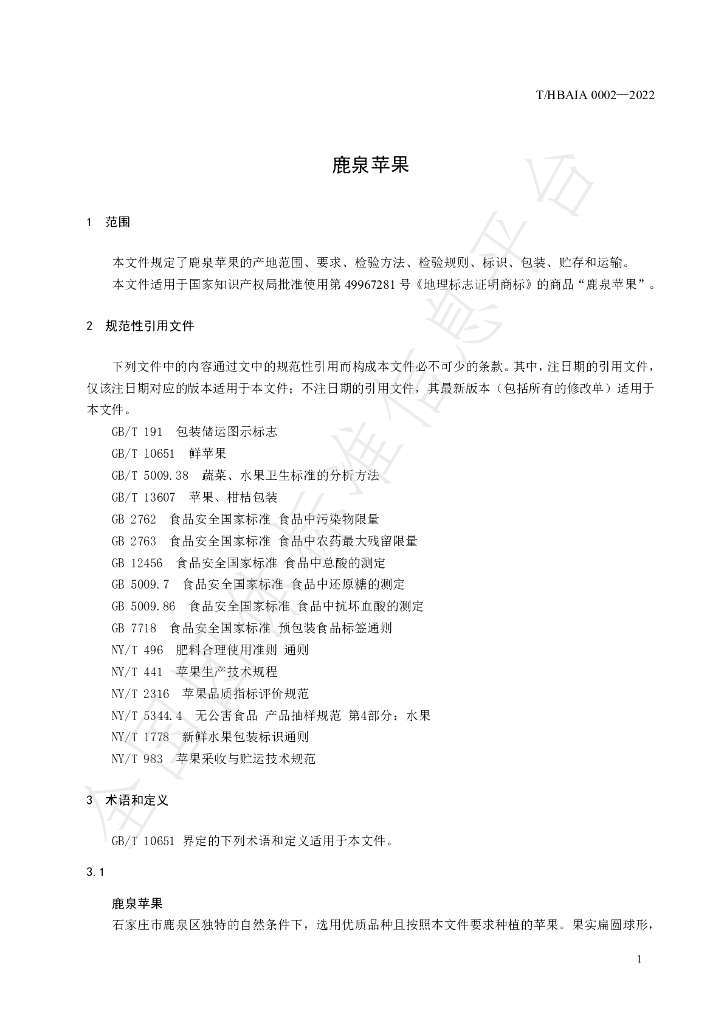 T/HBAIA 0002-2022 标准预览