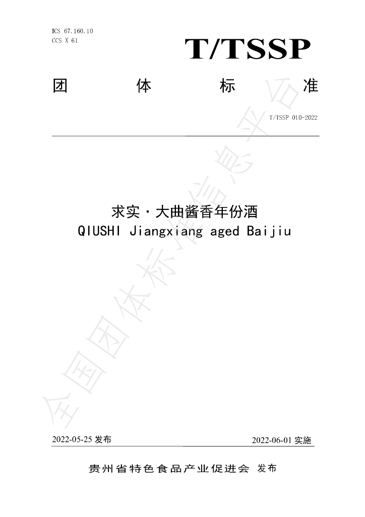 T/TSSP 010-2022 标准预览