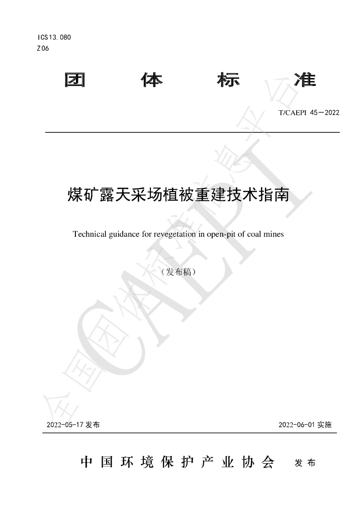 T/CAEPI 45-2022 标准预览