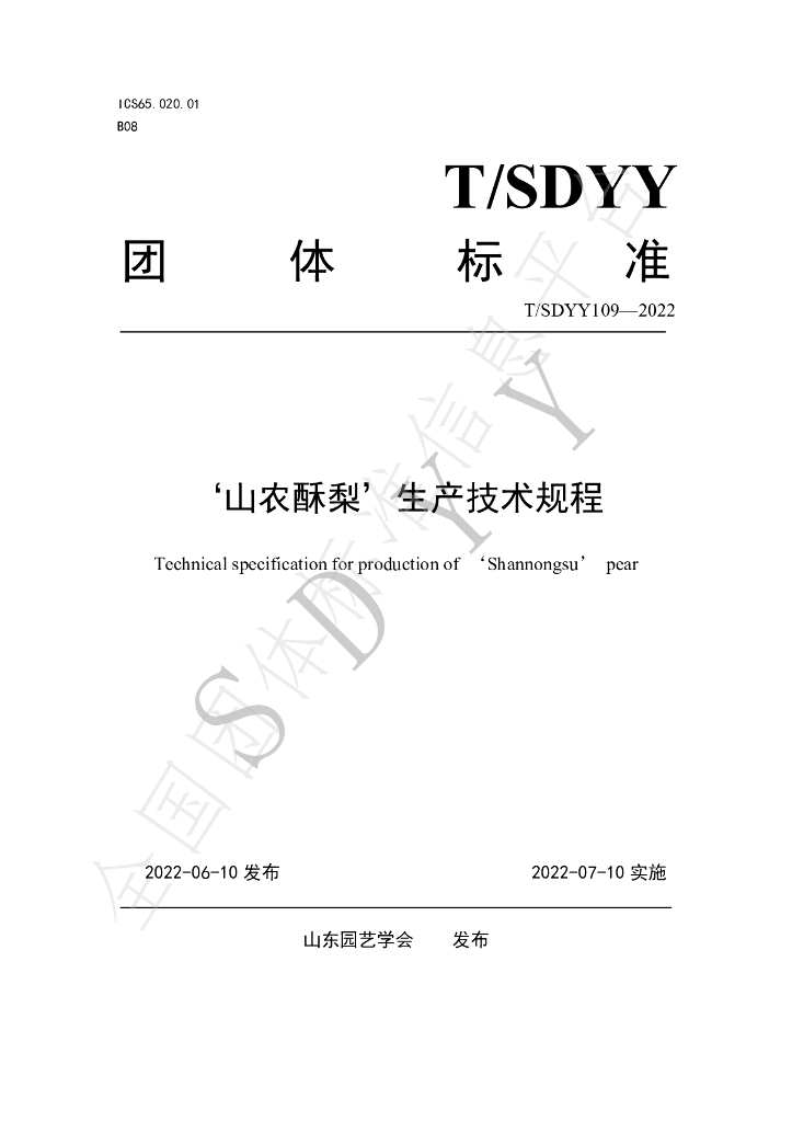 T/SDYY 109-2022 标准预览