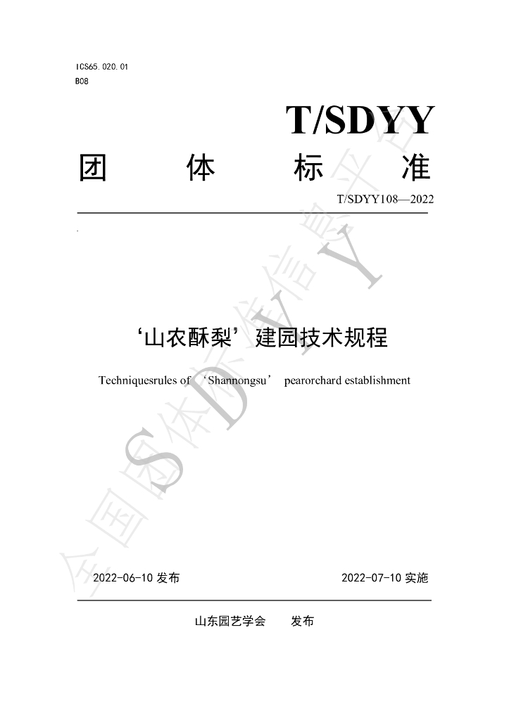 T/SDYY 108-2022 标准预览