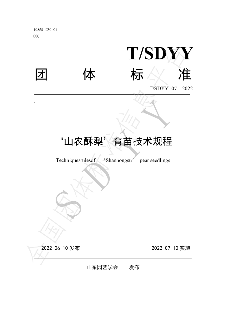 T/SDYY 107-2022 标准预览