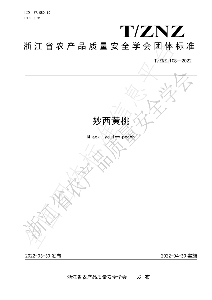 T/ZNZ 108-2022 标准预览