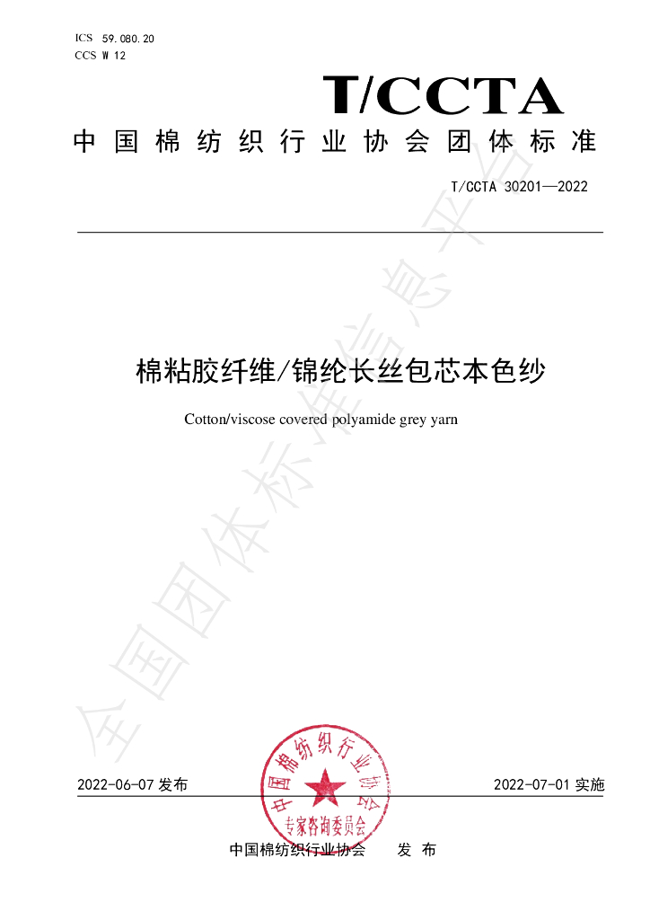 T/CCTA 30201-2022 标准预览