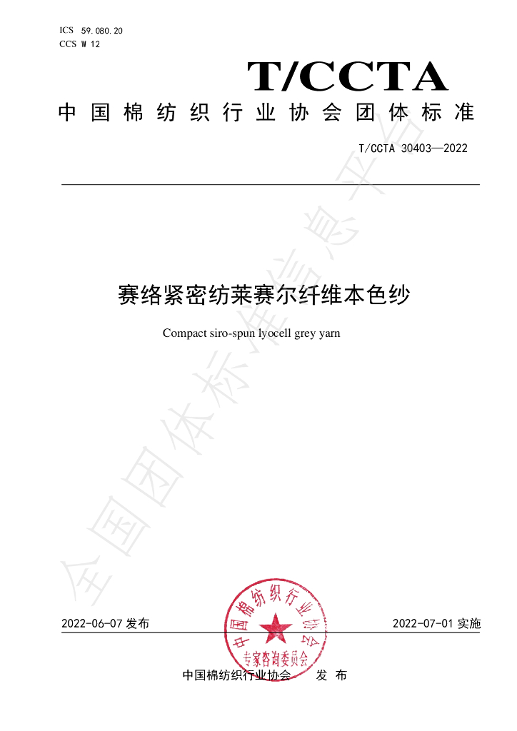 T/CCTA 30403-2022 标准预览