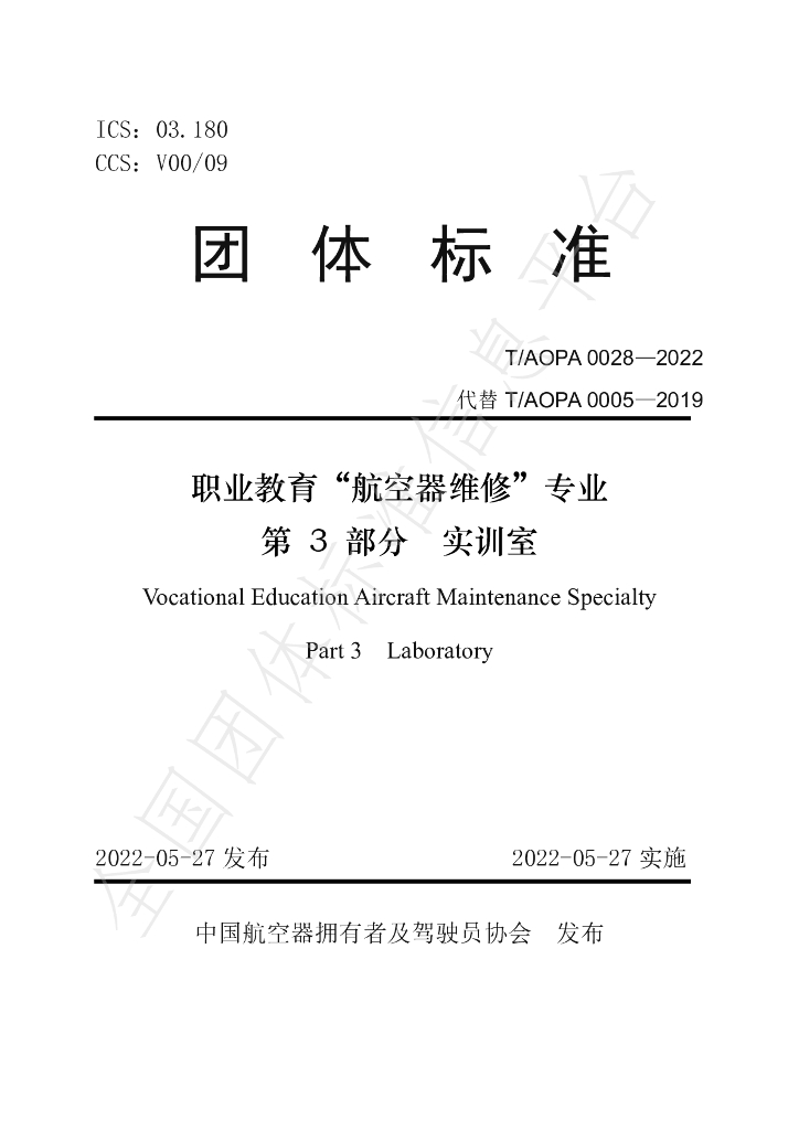 T/AOPA 0028-2022 标准预览