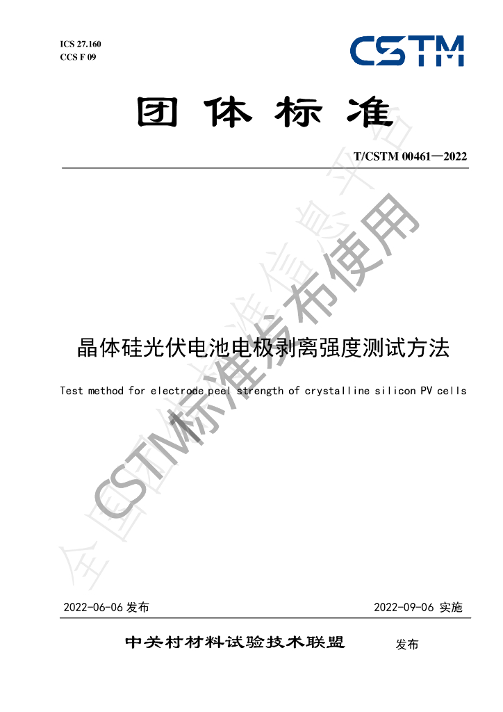 T/CSTM 00461-2022 标准预览