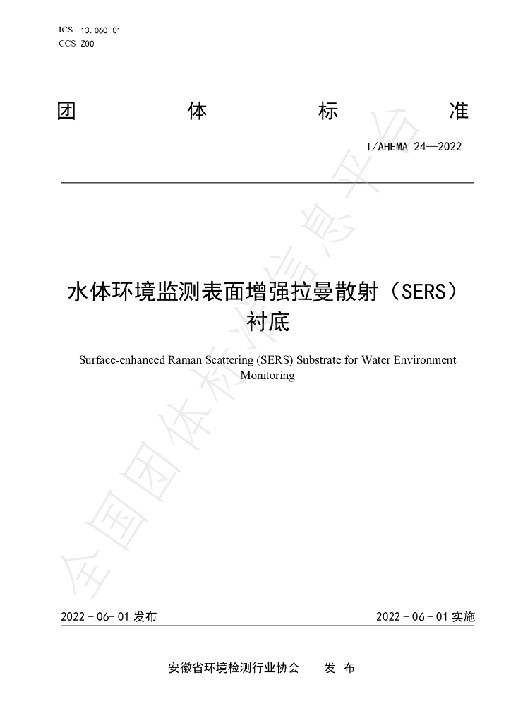 T/AHEMA 24-2022 标准预览