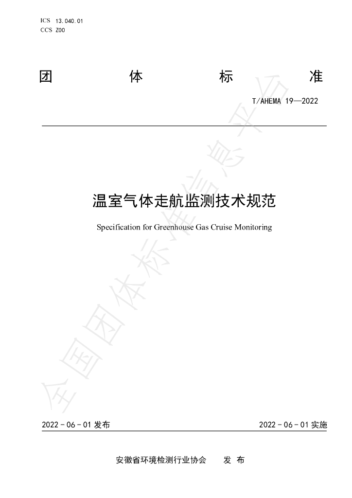 T/AHEMA 19-2022 标准预览