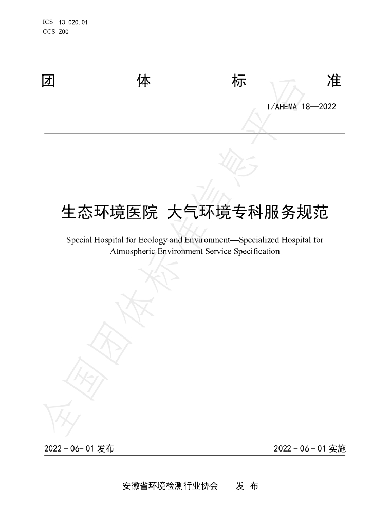 T/AHEMA 18-2022 标准预览